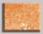 570-6