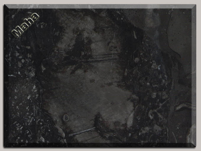 192 Black Marble